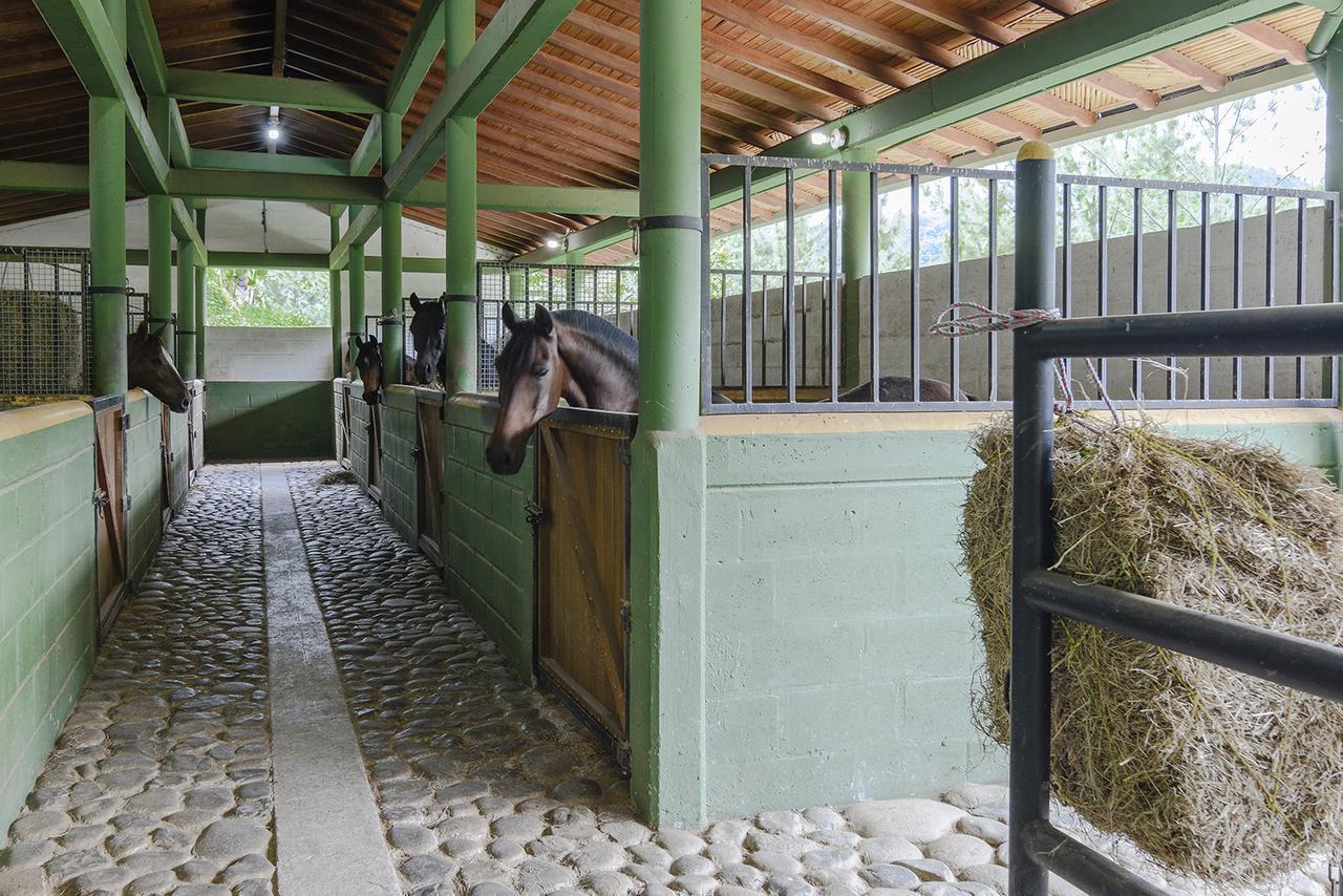 Finca Boutique El Diamante Salgar  Dış mekan fotoğraf