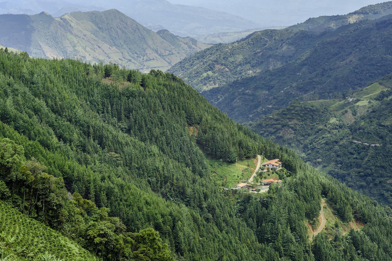 Finca Boutique El Diamante Salgar  Dış mekan fotoğraf