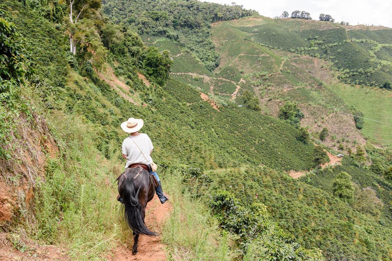 Finca Boutique El Diamante Salgar  Dış mekan fotoğraf